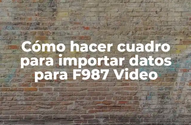 Cómo Hacer Cuadro para Importar Datos para F987 Video