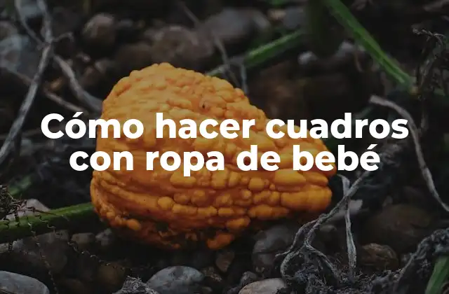 Cómo Hacer Cuadros con Ropa de Bebé