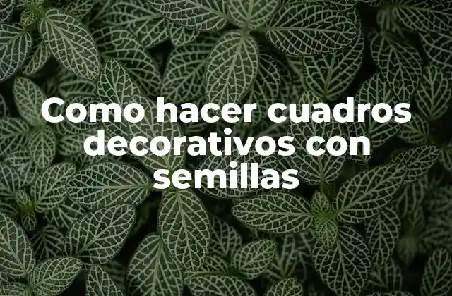 Cuadros decorativos con semillas
