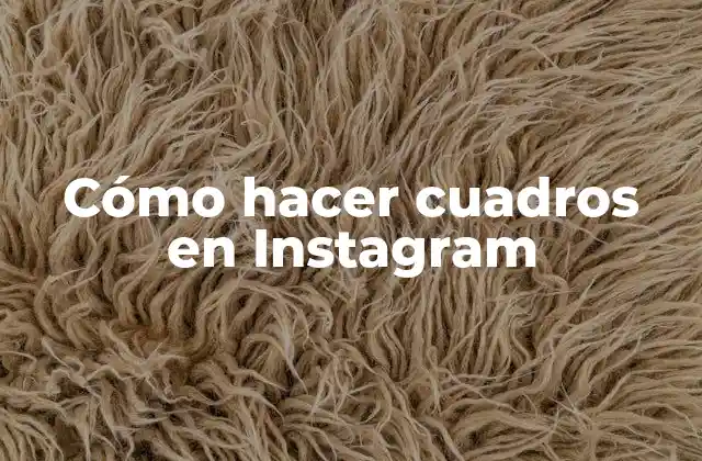 ¿Qué son los cuadros en Instagram y cómo se usan?