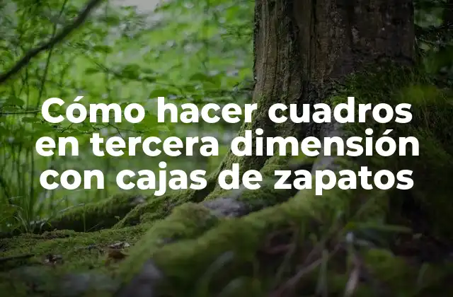 Cómo Hacer Cuadros en Tercera Dimensión con Cajas de Zapatos