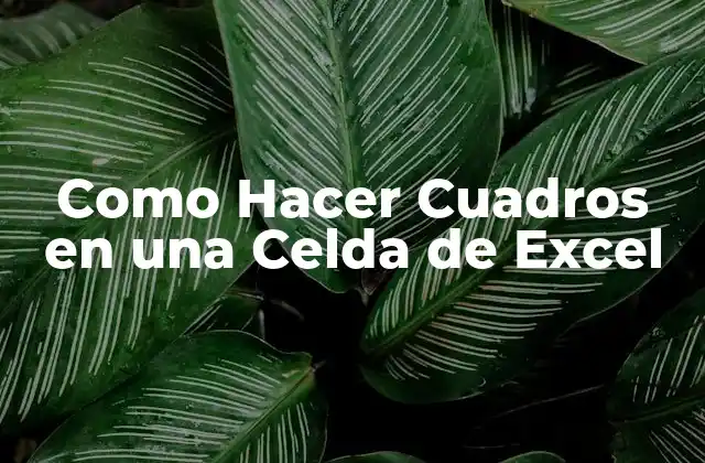 Como Hacer Cuadros en una Celda de Excel