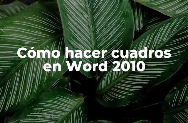 Cómo hacer cuadros en Word 2010