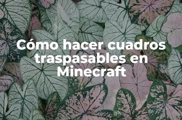 Cómo Hacer Cuadros Traspasables en Minecraft