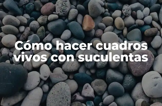 Cómo Hacer Cuadros Vivos con Suculentas
