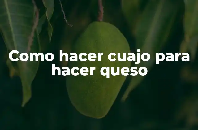 Como Hacer Cuajo para Hacer Queso