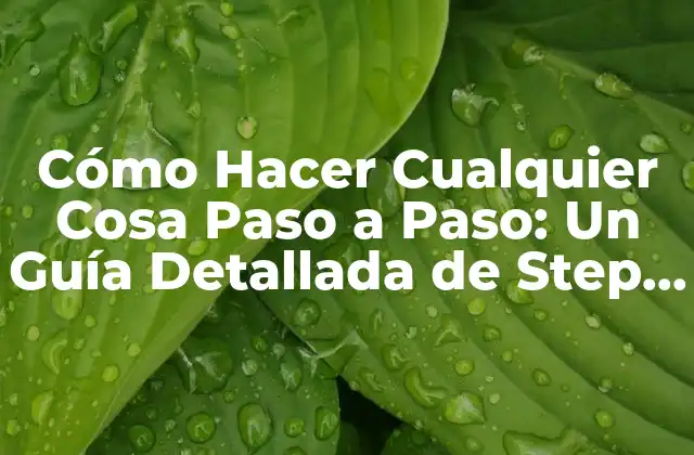 Cómo Hacer Cualquier Cosa Paso a Paso: un Guía Detallada de Step By Step