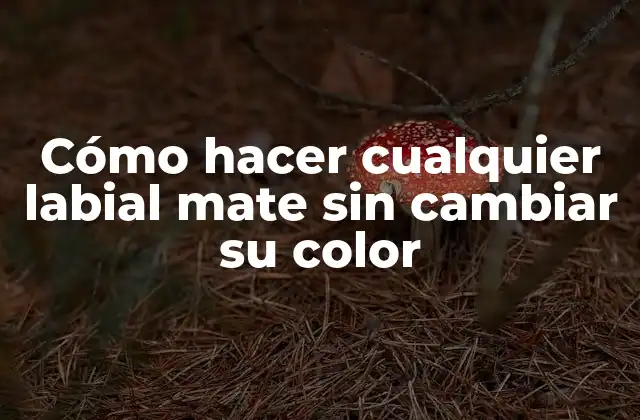 Cómo Hacer Cualquier Labial Mate sin Cambiar Su Color