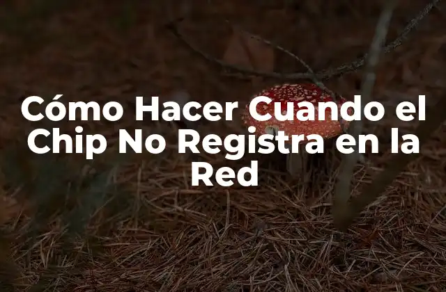 Cómo Hacer Cuando el Chip No Registra en la Red