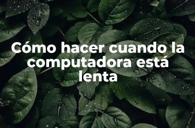 Cómo Hacer Cuando la Computadora Está Lenta
