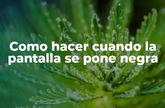 Como Hacer Cuando la Pantalla Se Pone Negra