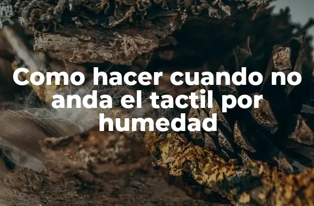 Como Hacer Cuando No Anda el Tactil por Humedad