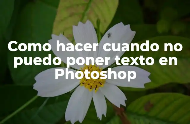 Como Hacer Cuando No Puedo Poner Texto en Photoshop