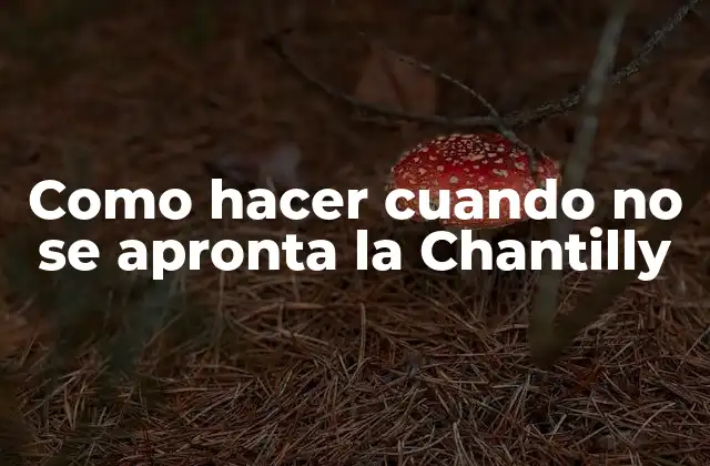 Como Hacer Cuando No Se Apronta la Chantilly 2 ¿Qué es la Chantilly?