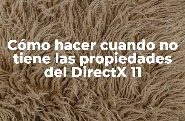Cómo Hacer Cuando No Tiene las Propiedades Del Directx 11