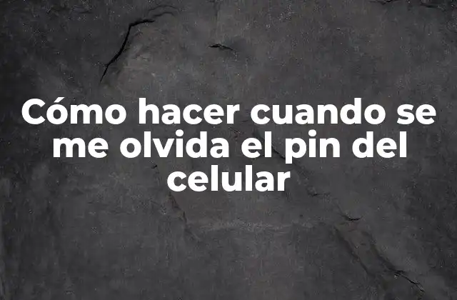 Cómo Hacer Cuando Se Me Olvida el Pin Del Celular