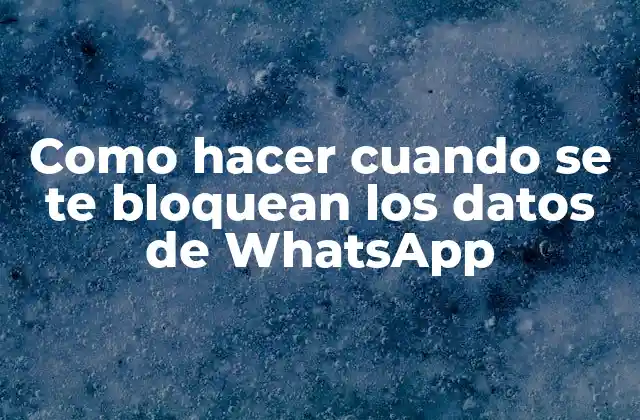Como Hacer Cuando Se Te Bloquean los Datos de Whatsapp 2 ¿Qué son los datos de WhatsApp y por qué son importantes?