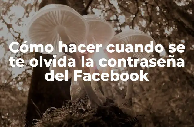 Cómo Hacer Cuando Se Te Olvida la Contraseña Del Facebook