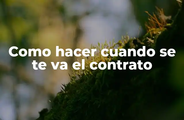 Como Hacer Cuando Se Te Va el Contrato