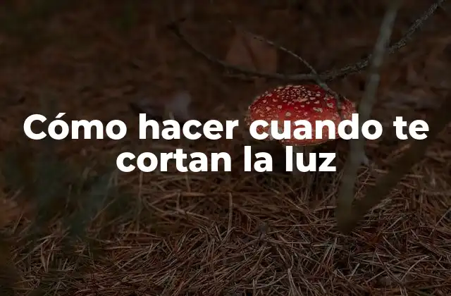 Cómo Hacer Cuando Te Cortan la Luz