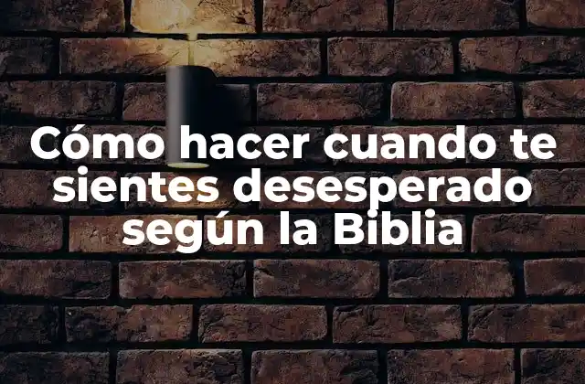 Cómo Hacer Cuando Te Sientes Desesperado según la Biblia