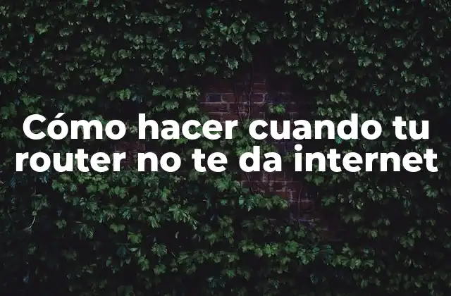 Cómo Hacer Cuando Tu Router No Te Da Internet