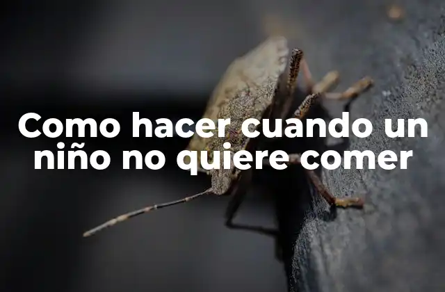 Como Hacer Cuando un Niño No Quiere Comer