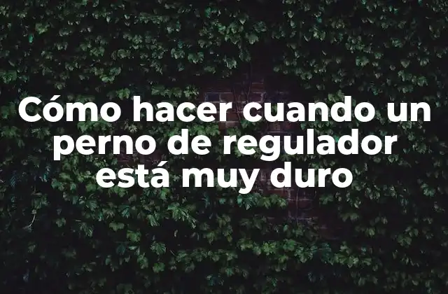 Cómo Hacer Cuando un Perno de Regulador Está Muy Duro