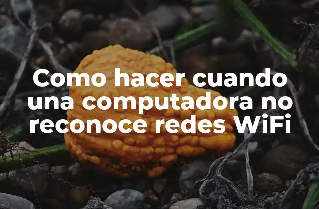 Como Hacer Cuando una Computadora No Reconoce Redes Wifi 2 ¿Qué es la conexión WiFi y cómo funciona?
