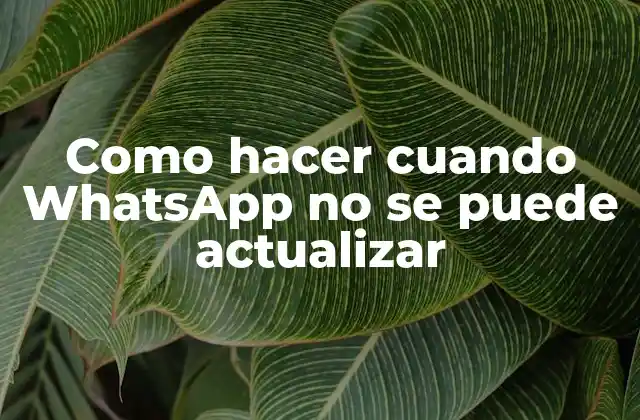 Como Hacer Cuando Whatsapp No Se Puede Actualizar