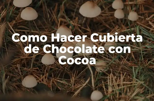 ¿Qué es una Cubierta de Chocolate con Cocoa y para qué Sirve?
