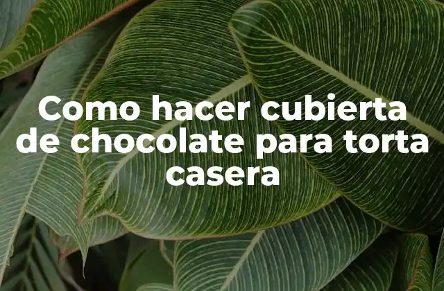 Como Hacer Cubierta de Chocolate para Torta Casera