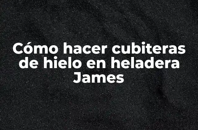 Cómo Hacer Cubiteras de Hielo en Heladera James