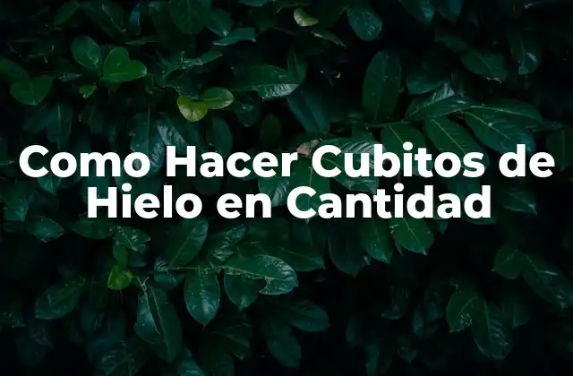 Cubitos de Hielo en Cantidad: ¿Qué son y para qué sirven?