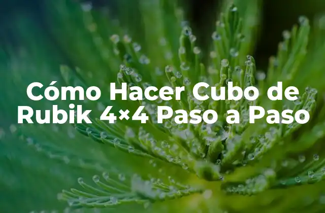 ¿Qué es el Cubo de Rubik 4x4 y Cómo se Usa?