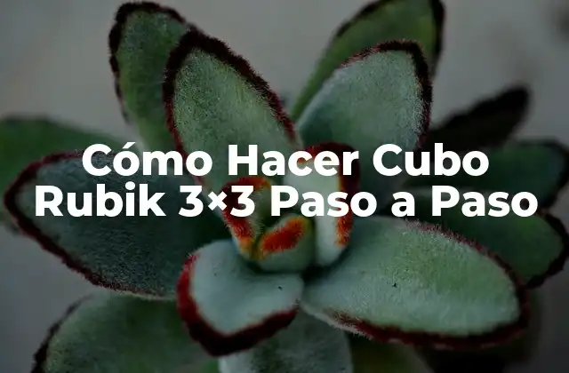 ¿Qué es el Cubo Rubik 3x3 y para Qué Sirve?