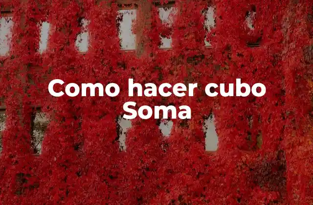 Como Hacer Cubo Soma