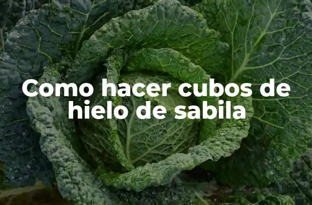 Como Hacer Cubos de Hielo de Sabila