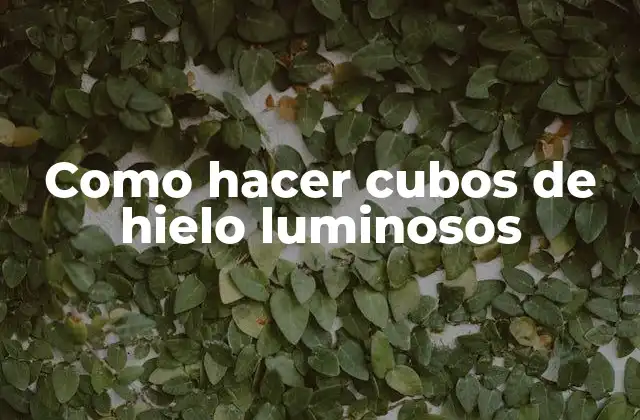Como Hacer Cubos de Hielo Luminosos