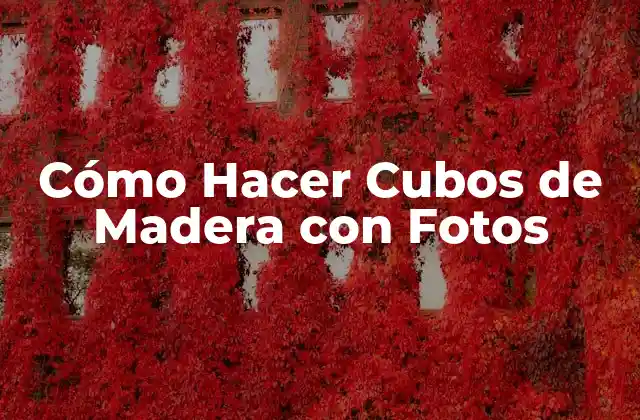 Cómo Hacer Cubos de Madera con Fotos