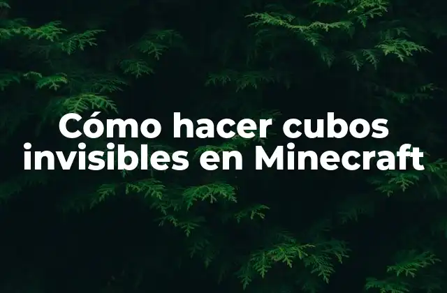 Cómo Hacer Cubos Invisibles en Minecraft