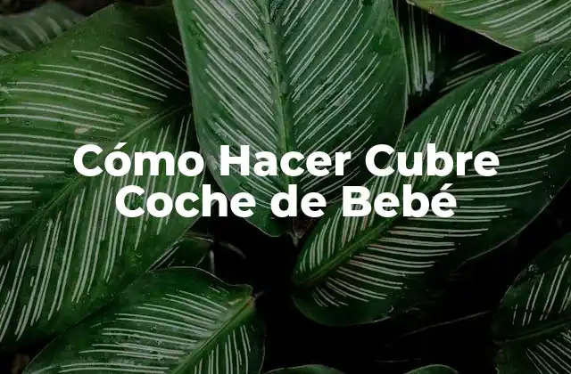 Cómo Hacer Cubre Coche de Bebé 2 Cómo Hacer Cubre Coche de Bebé
