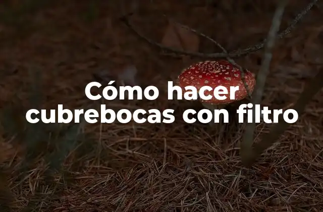 Cómo Hacer Cubrebocas con Filtro