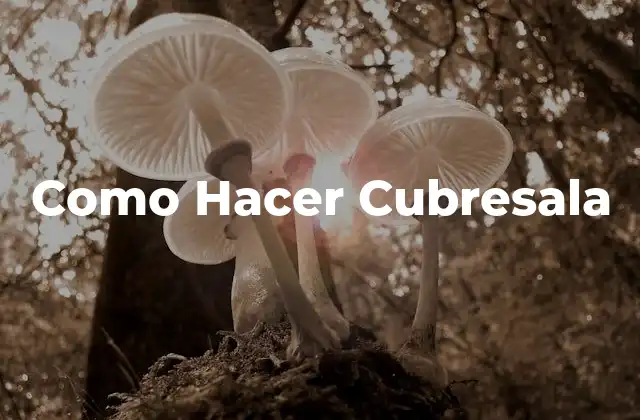 Como Hacer Cubresala