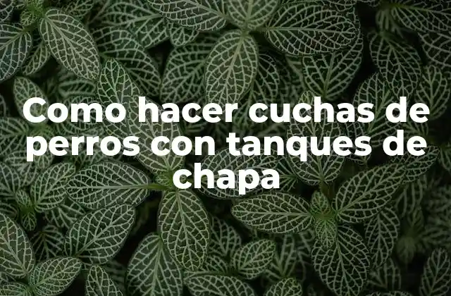 Tanques de chapa para cuchas de perros: ¿qué son y para qué sirven?