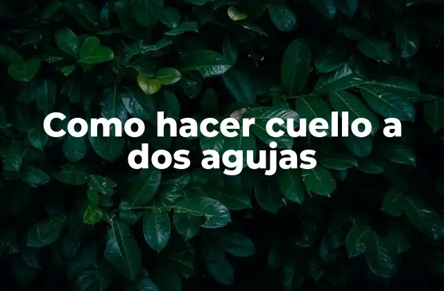 Como Hacer Cuello a Dos Agujas