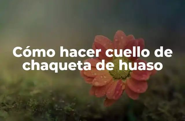 Cómo Hacer Cuello de Chaqueta de Huaso