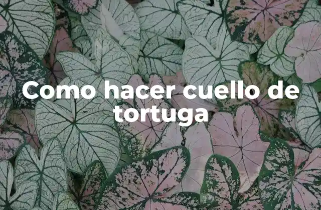 Como Hacer Cuello de Tortuga