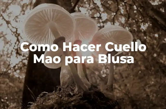 Como Hacer Cuello Mao para Blusa