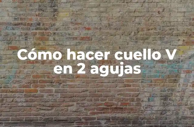 Cómo Hacer Cuello V en 2 Agujas